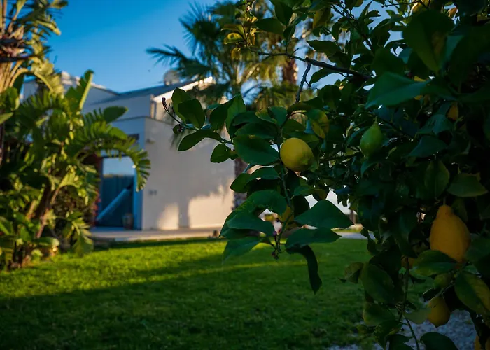 Aparthotel Ariaboutique 4*